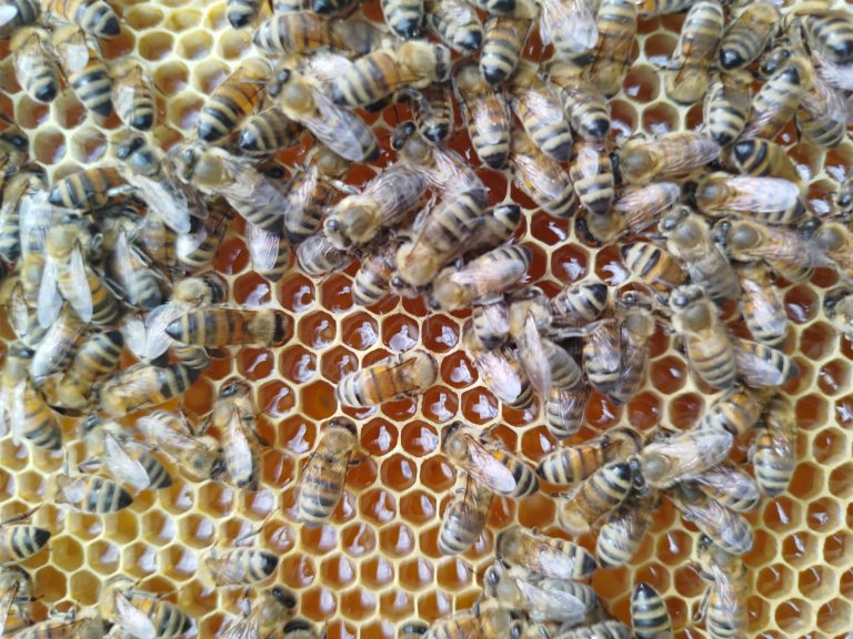 WhatsApp Image 2026-02-24 at 16.41.10 (1)