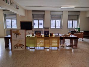 WhatsApp Image 2026-02-24 at 16.41.11 (1)