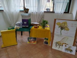 WhatsApp Image 2026-02-24 at 16.41.11