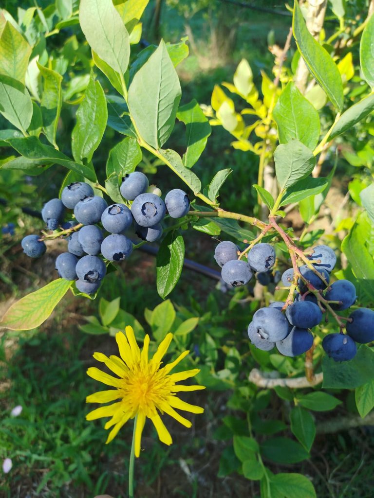 WhatsApp Image 2026-02-24 at 16.41.12 (1)