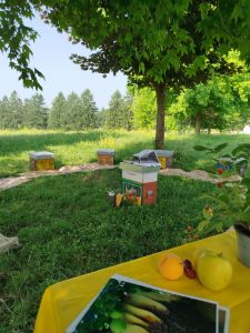 WhatsApp Image 2026-02-24 at 16.41.12 (1)