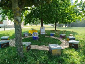 WhatsApp Image 2026-02-24 at 16.41.12